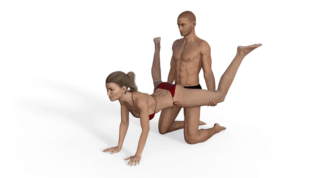 ეტლი მუხლებზე